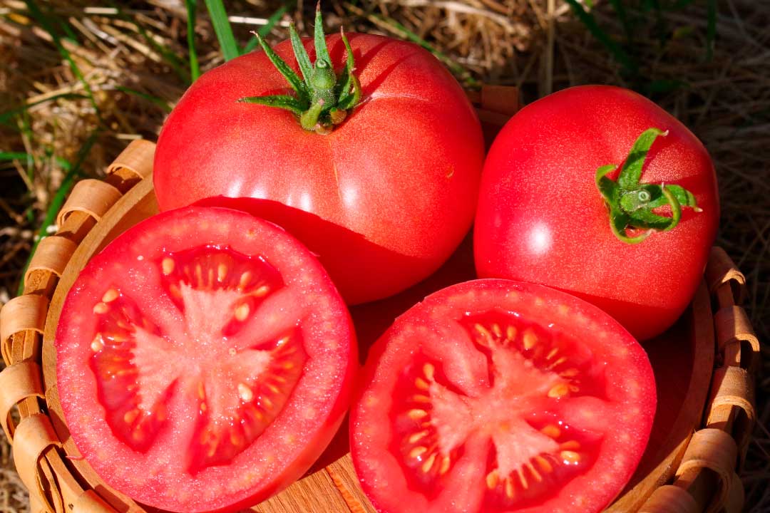 Герцогиня-вкуса.jpg