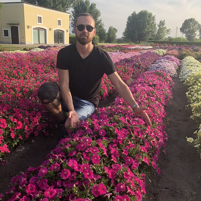 Партнер Петуния серия "Итальянка" МАНУЭЛЛА F1 / многоцветковая каскадная^(5шт в амп), изображение 2