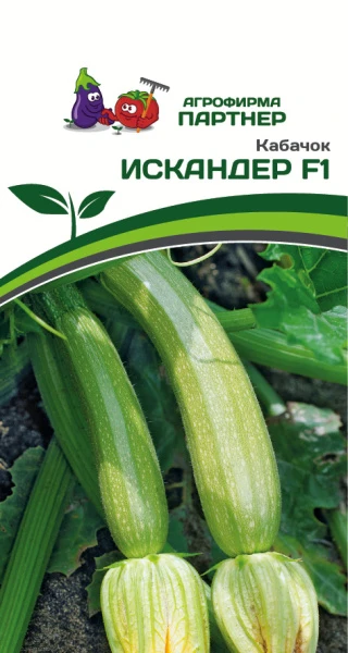 Партнер Кабачок ИСКАНДЕР F1 ^(5шт), изображение 0