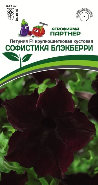 Партнер Петуния F1 серия СОФИСТИКА БЛЭКБЕРРИ/ крупноцветковая кустовая ^(5шт в амп)
