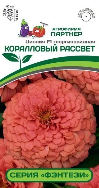 Партнер Цинния F1 КОРАЛЛОВЫЙ РАССВЕТ / георгиновидная ^(4шт)